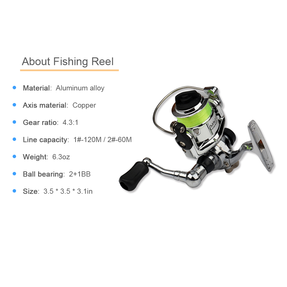 Combo de carrete de caña de pe - Penn Reel Fierce reseña y precio